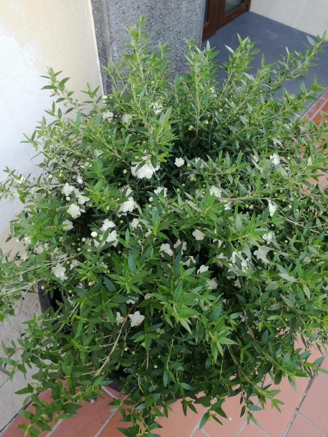 Jerula B&B Agerola Εξωτερικό φωτογραφία
